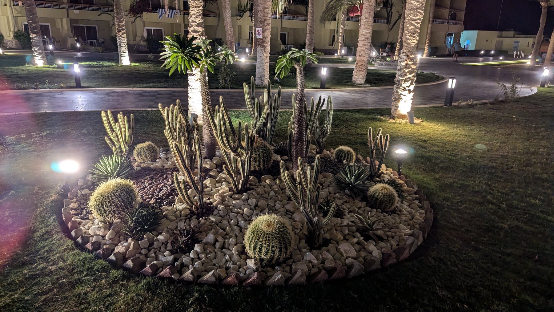 Kakteen und Gartenlicht
