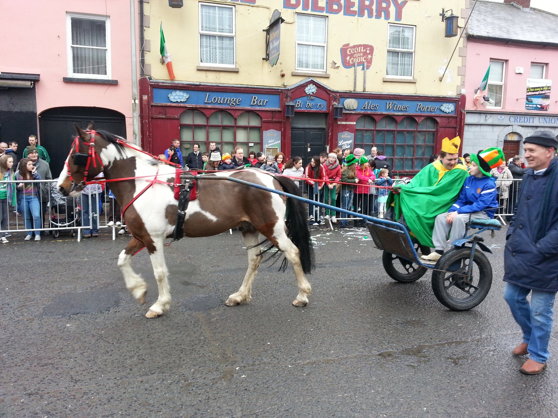 Pferd bei der Parade am St. Patrick’s Day