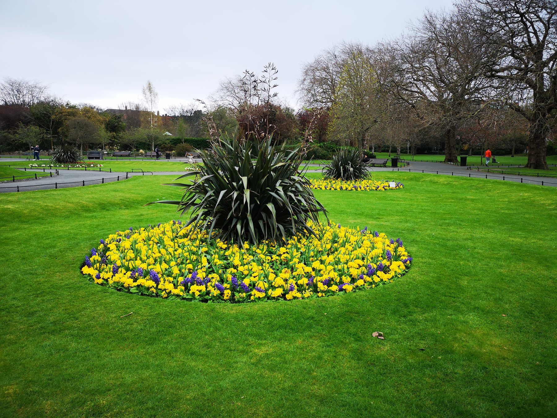 Frühlingsbepflanzung in einem irischen Park