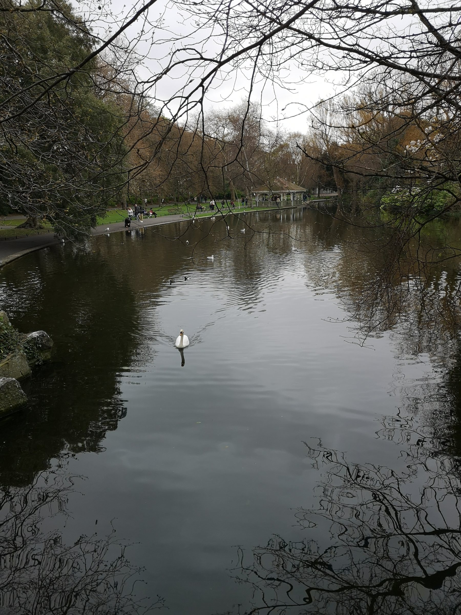 Stillgewässer in einem Park