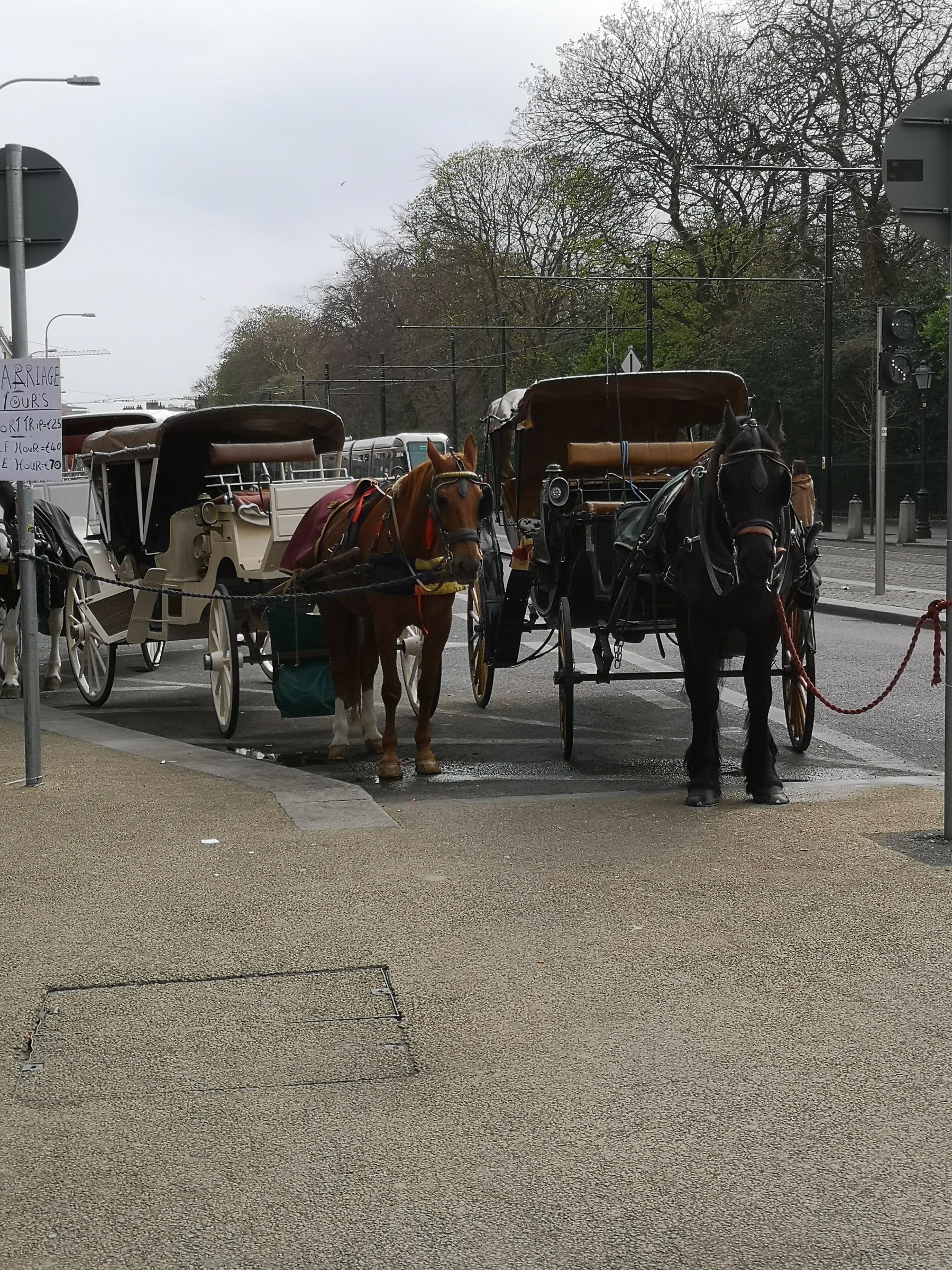 Pferdekutsche in einer irischen Stadt