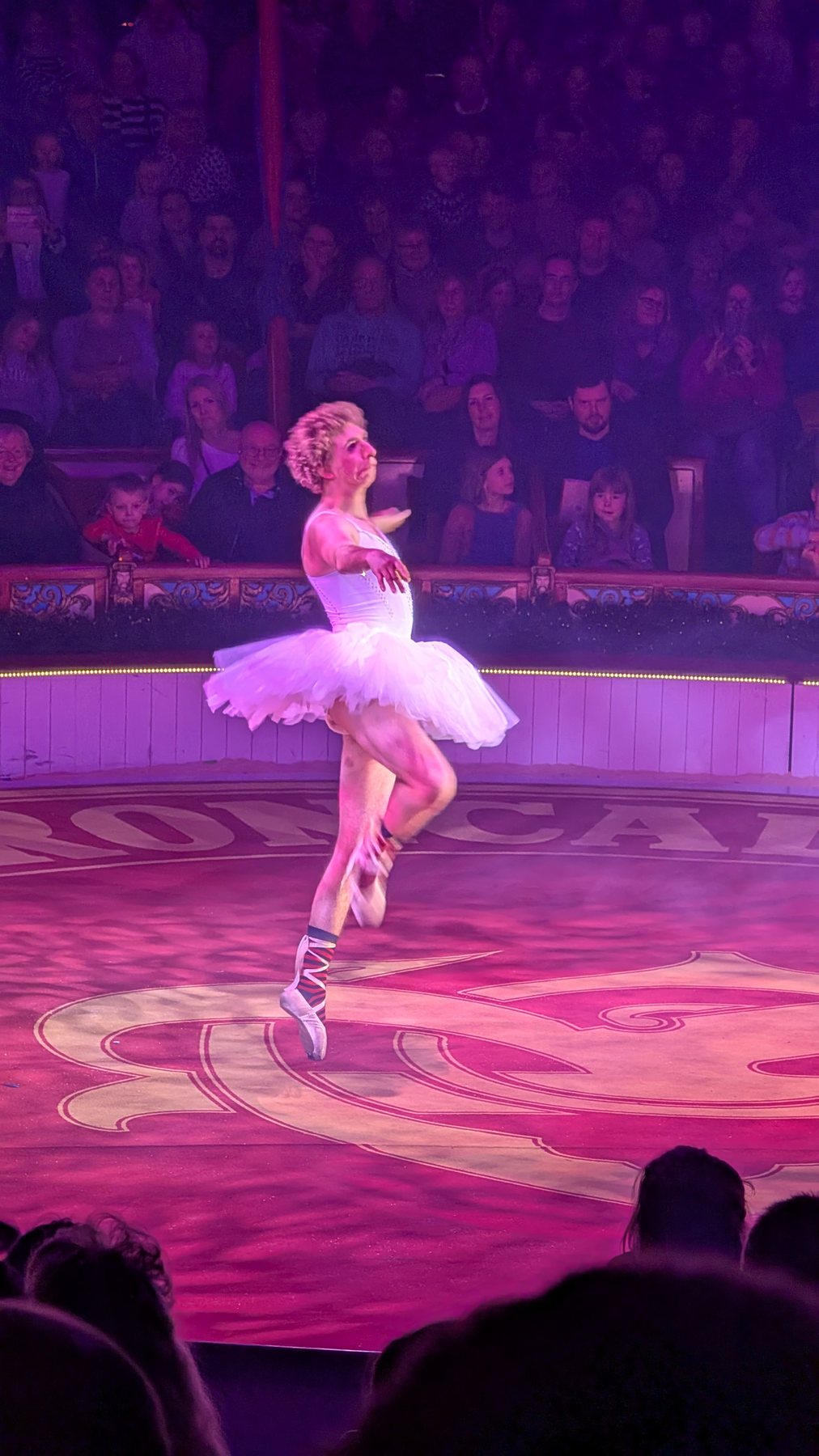 Artistik in der Manege